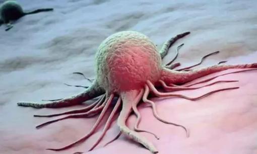 Đừng lo lắng nếu bạn bị ung thư! Ăn những thực phẩm này mỗi ngày, tế bào ung thư có thể “biến mất”