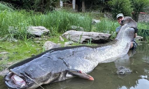 Người đàn ông câu được con cá trê khổng lồ dài 2,7 m sau 50 phút 'đấu tay đôi'