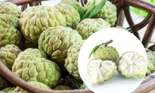 Mua na chọn quả nhiều hay ít mắt? Người trồng na: nhìn đúng điểm này biết ngay na chín tự nhiên không phun thuốc, quả nào cũng ngon ngọt, dày thịt ít hạt 