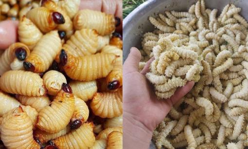 3 món ăn 'ngọ nguậy' của Việt Nam khiến du khách nước ngoài 'khóc thét', lại là đặc sản mà người Việt mê tít