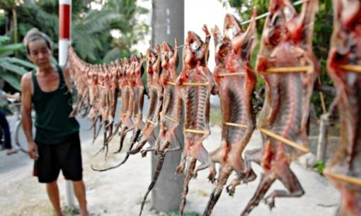 Loài vật có vẻ ngoài khiến ai cũng rợn người lại là đặc sản chỉ có ở Tây Ninh, làm mồi nhậu không chê vào đâu được