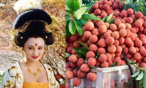 Một loại quả đặc sản ở Việt Nam được Dương Quý Phi yêu thích, ăn nhiều để 'cặp tuyết lê' căng tràn?