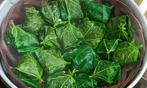 Đừng chỉ ăn quả, lá loại cây quen thuộc này quý như 'nhân sâm của người nghèo', được trồng ở nhiều nơi