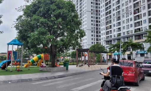 Tại sao ngày càng có nhiều người sống ở đô thị chuyển từ chung cư xuống nhà mặt đất?