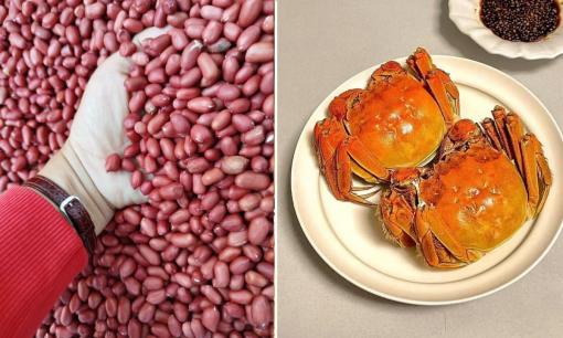 Nó là 'kẻ thù truyền kiếp' của lạc, bác sĩ nhắc nhở: Tuyệt đối không được ăn chung, hãy nhớ kỹ những điều cấm kỵ khi ăn lạc