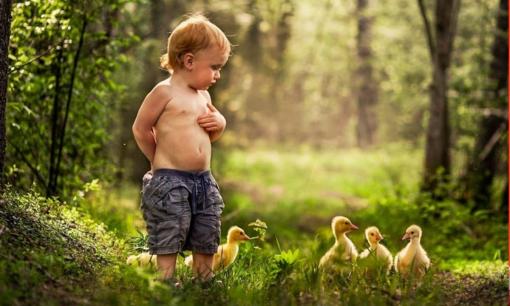  Nghiên cứu của Harvard: Đưa trẻ đến ba địa điểm thường xuyên hơn có thể giúp cải thiện cả IQ và EQ