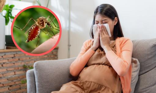 Phân biệt ba căn bệnh sốt xuất huyết, Chikungunya và Zika: Bệnh nào nguy hiểm hơn, bệnh nào lây qua đường tình dục?