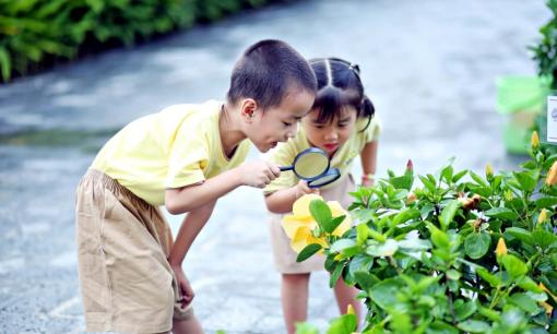 Nếu trẻ có 5 biểu hiện này thì chứng tỏ con bạn thực sự thông minh, không phải là khôn lỏi!