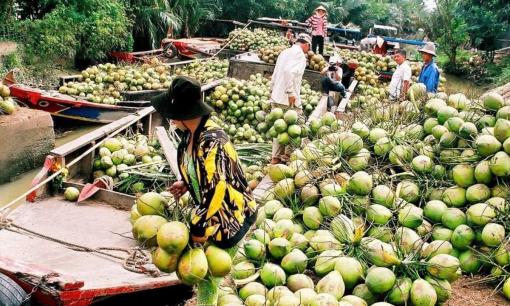 Người nông dân trở thành 'tỷ phú' khi nhổ lúa, trồng cây ra trái quanh năm: Thu nhập 1,2 tỷ đồng, Trung Quốc rất ưa chuộng