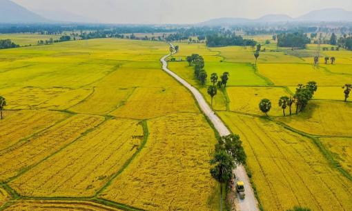 Từ bây giờ, phải đáp ứng điều kiện này mới được chuyển đất nông nghiệp sang đất phi nông nghiệp