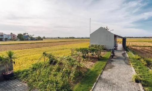 Năm 2025, trường hợp nào nhà xây trên đất nông nghiệp không bị phá dỡ?