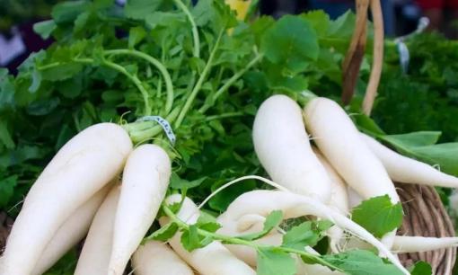 Lời khuyên của chuyên gia: Đây là 4 loại rau củ ít thuốc trừ sâu nhất mùa thu, vừa ngon vừa an toàn cho sức khỏe