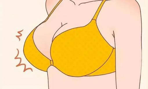 Tại sao một số bộ ngực mềm như bông và một số lại săn chắc như bánh bao hấp? 5 sự thật về ngực!