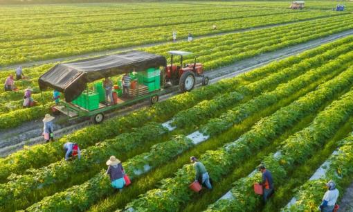 Ngành học ở Việt Nam điểm chuẩn chỉ từ 16, ra trường được doanh nghiệp săn đón với mức lương 25 triệu đồng