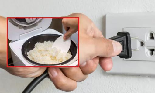 Có nên rút phích cắm nồi cơm điện ngay khi cơm chín? Thì ra bấy lâu rất nhiều người hiểu sai 