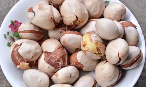 Loại hạt ở Việt Nam thẳng tay vứt bỏ hoá ra cực 'đắt hàng' ở Nhật: Giá bằng cả cân thịt bò, là 'thần dược' phòng the