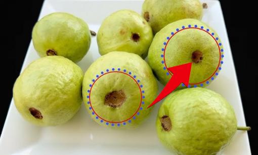 Mua ổi đừng chọn bừa, rốn nhỏ hay rốn to mới là quả giòn ngọt không bị xốp?