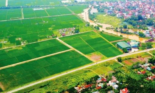 Nhiều trường hợp được giảm 50% tiền sử dụng đất, cụ thể là những ai?