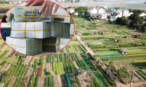 Quy định mới nhất về bồi thường cây trồng, vật nuôi khi Nhà nước thu hồi đất, người dân cần nắm rõ