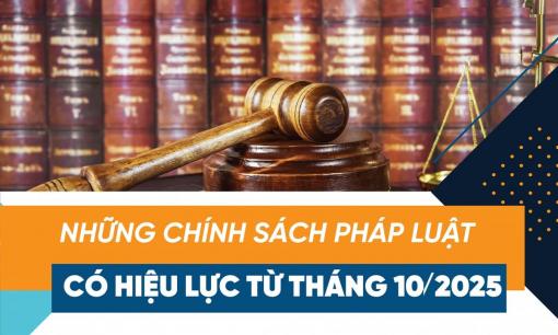 Từ ngày 1/10: Những Luật quan trọng nào chính thức có hiệu lực thi hành?