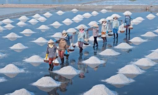 Thủ phủ muối của Việt Nam nằm ở tỉnh nào?
