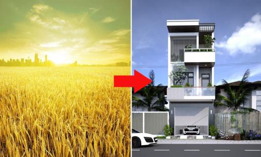 Từ nay, chuyển một phần đất nông nghiệp thành đất ở cần đáp ứng điều kiện này