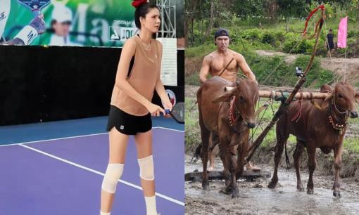 Sao Việt 26/9: Kỳ Hân chi 500 triệu đồng chữa chân, chưa lành đã chơi pickleball; Steven Nguyễn khoe body 6 múi đi bừa ruộng