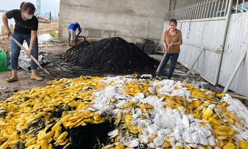 Một loại vỏ quả tại Việt Nam từng bị xem là rác, nay hóa “mỏ vàng” giúp doanh nghiệp thu tiền tỷ mỗi năm