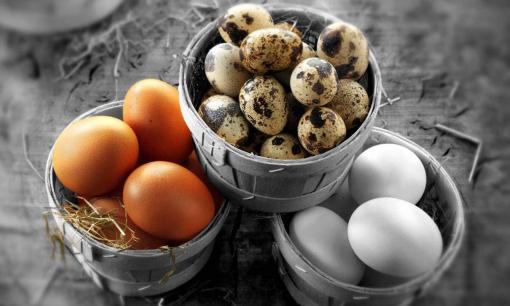 Trứng vịt, trứng cút, trứng ngỗng cái nào bổ dưỡng hơn? Bác sĩ khuyên loại trứng này ăn càng ít càng tốt