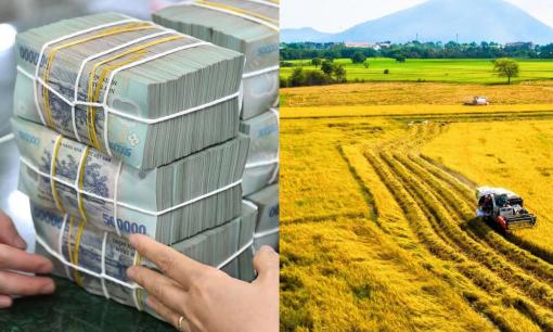 Thu hồi đất nông nghiệp theo quy định mới nhất: Cá nhân, hộ gia đình được bồi thường như thế nào?