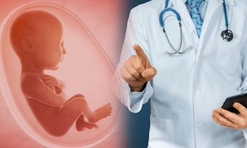 Tỷ lệ thành công của công nghệ IVF là bao nhiêu? Trẻ sơ sinh thụ tinh trong ống nghiệm thực sự có tuổi thọ ngắn. Các chuyên gia tiết lộ sự thật, và thật khó tin 