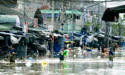 Tiểu thương chợ lớn nhất Nghệ An tranh thủ vớt từng cọng rau trong dòng nước lũ, giữ lấy bữa cơm ngày mai