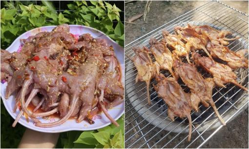 Loài vật trong lòng đất nhìn thôi cũng phải bỏ chạy, xưa không ai dám ăn, nay thành đặc sản giá gần 200.000 đồng/kg