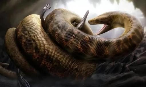 Con rắn lớn nhất thế giới rốt cuộc to cỡ nào? Tương truyền từng có mãng xà quấn núi xuất hiện ở Tần Lĩnh, liệu có thật không?