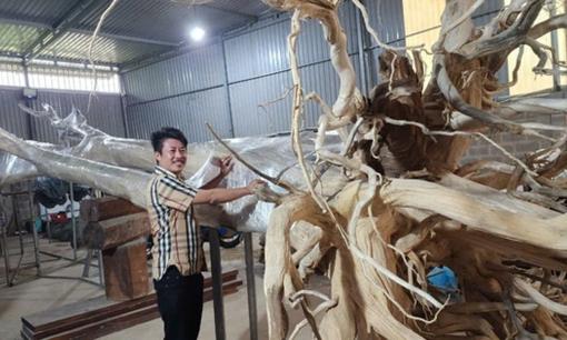 Cây gỗ siêu quý hiếm nặng 10 tấn, dài 17m ở Việt Nam: Từ rễ đến ngọn đều phát trầm, trả 40 tỷ vẫn không mua nổi
