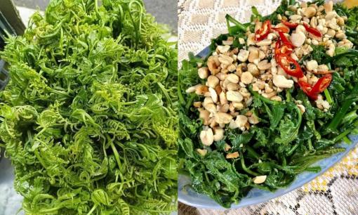 Loại đặc sản 'trời ban' ở miền Bắc: Càng hái càng mọc nhanh, ăn ngon lại rất tốt cho sức khỏe