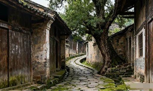 Tục ngữ có câu: “Có ba con đường không nên đi”, ba con đường đó cảnh báo 'điềm' gì?