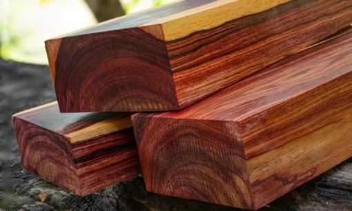Loại gỗ Việt Nam là 'báu vật rừng xanh', thương lái Trung Quốc ồ ạt thu mua với số lượng lớn có thời điểm giá lên tới nửa tỷ/m³
