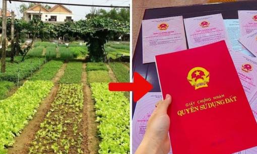 Danh mục giấy tờ cần nộp khi chuyển đất nông nghiệp lên đất thổ cư