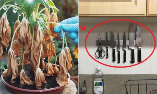 Các cụ khuyên: 'Vào nhà nhìn thấy 3 thứ này, gia đình sắp ly tán, tài lộc đội nón ra đi, khó mà giàu có'