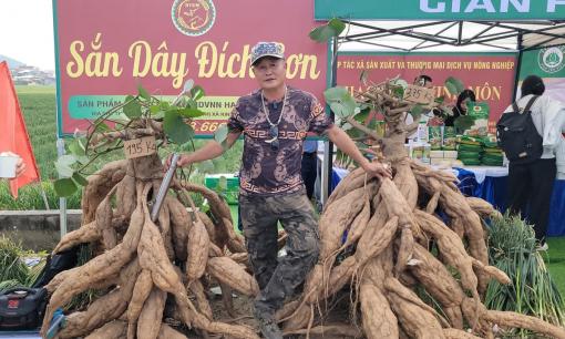 Biến cây mọc dại thành ‘vàng trắng’, nông dân Hải Phòng thu về 3,6 tỷ đồng/năm