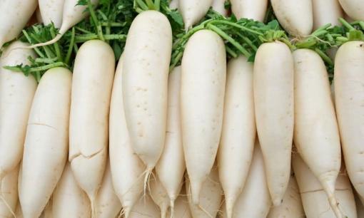 Loại rau đang vào vụ bổ ngang nhân sâm tổ yến, giá chỉ từ 20.000 đồng/kg, đừng dại dột mà không mua