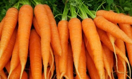 Loại củ chứa nhiều vi nhựa nhất gây hại cho sức khỏe, người Việt vẫn hay ăn thường xuyên