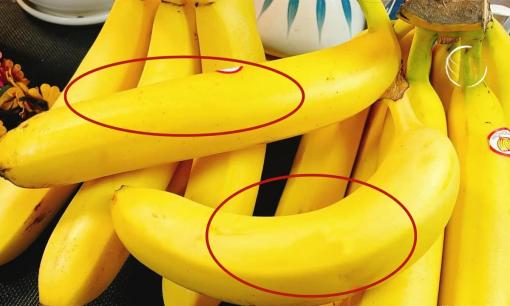 Khi mua chuối, bạn nên chọn chuối thẳng hay chuối cong? Có sự khác biệt lớn, đừng mua chuối bừa bãi