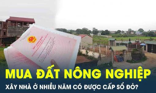Xây nhà ở suốt 15 năm trên đất trồng cây, liệu có được cấp sổ đỏ không?
