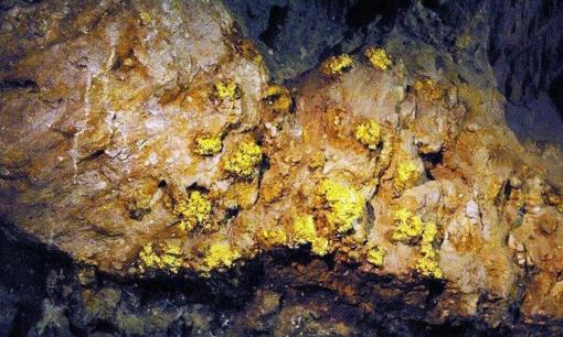 Vùng Tây Bắc Việt Nam phát hiện một 'kho báu dưới lòng đất', bất ngờ hơn là loại 'vàng' có trữ lượng trên cả Mỹ