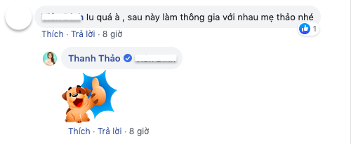 Thanh Thảo, Đan Trường, sao Việt