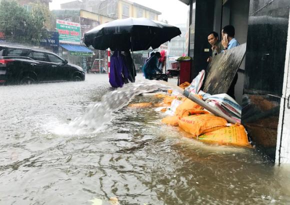 Nghệ An, mưa lũ, lũ lụt