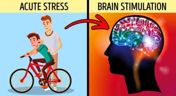 những loại căng thẳng khác nhau, căng thẳng tốt cho sức khỏe, thông tin thú vị về stress