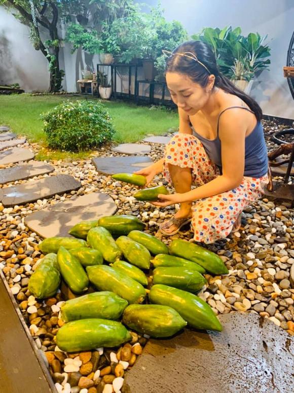 sao Việt, tin sao Việt, tin sao Việt tháng 11, tin sao Việt mới nhất